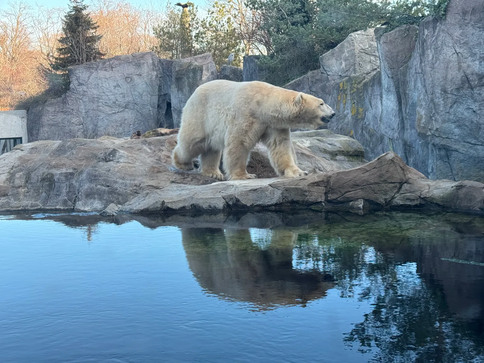 Interior at Schönbrunn Zoo Vienna — travel photo