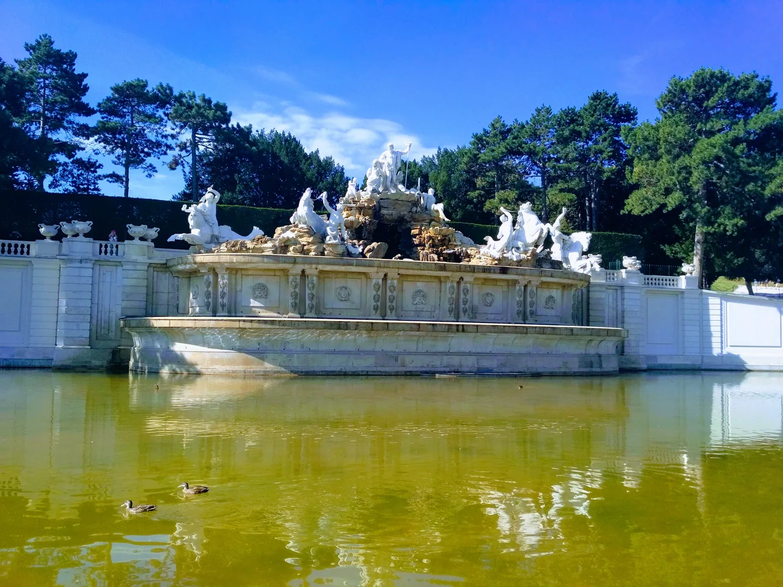 Details at Schönbrunn Zoo Vienna — travel photo