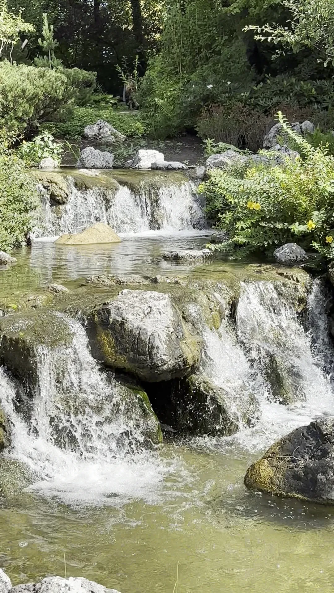 Main view at Setagayapark Vienna — travel photo