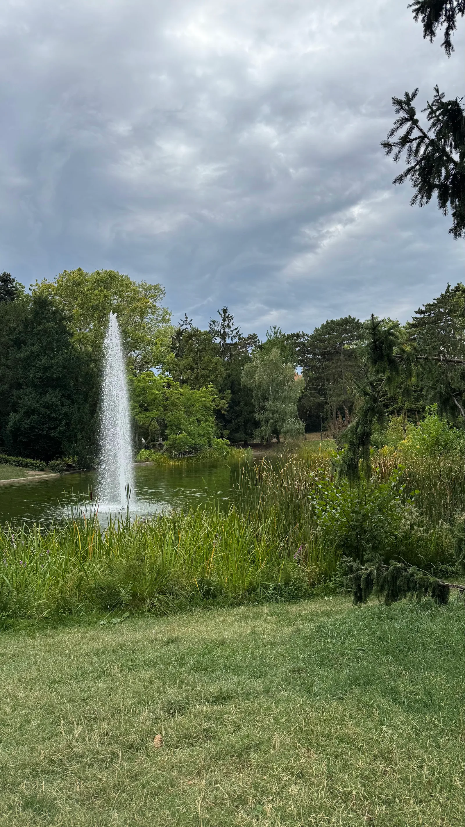 Main view at Türkenschanzpark Vienna — travel photo