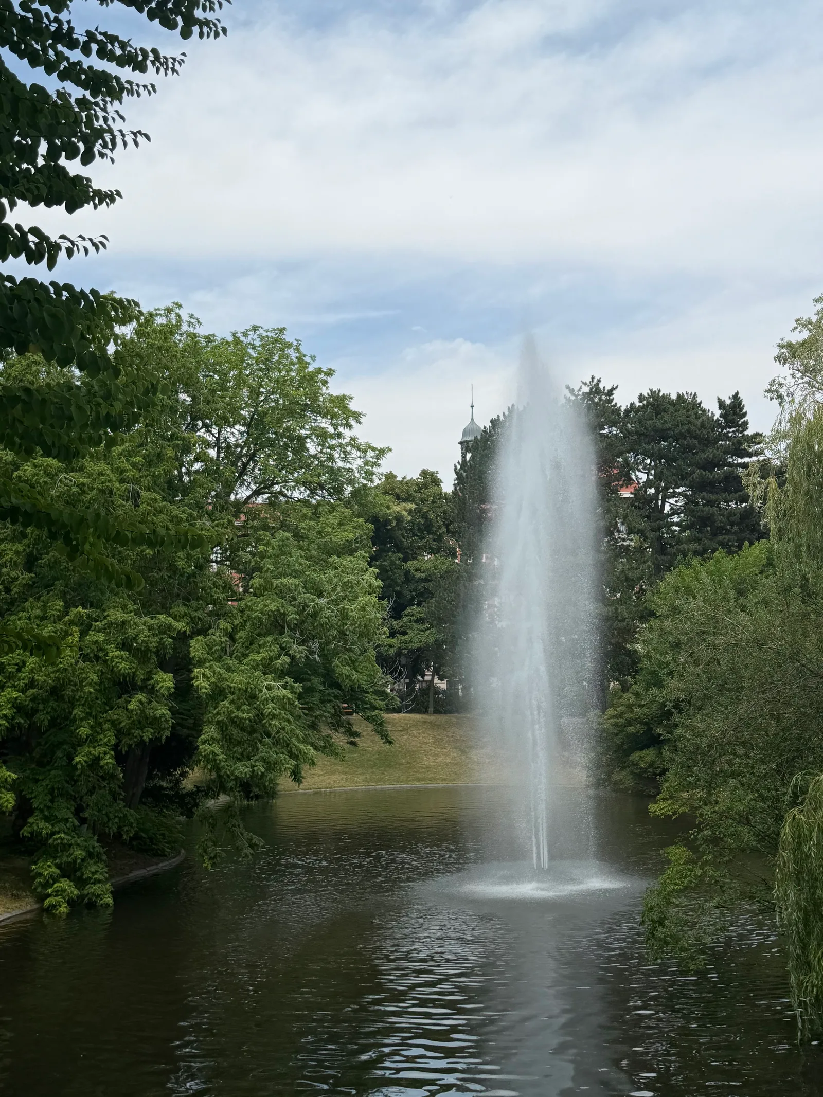 Details at Türkenschanzpark Vienna — travel photo