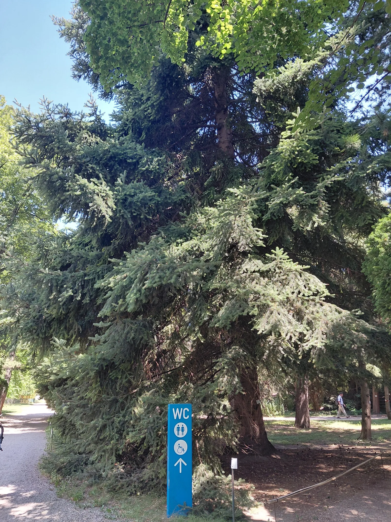 Atmosphere at University of Vienna Botanical Garden Vienna — travel photo