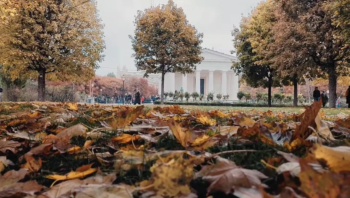 Atmosphere at Volksgarten Vienna — travel photo