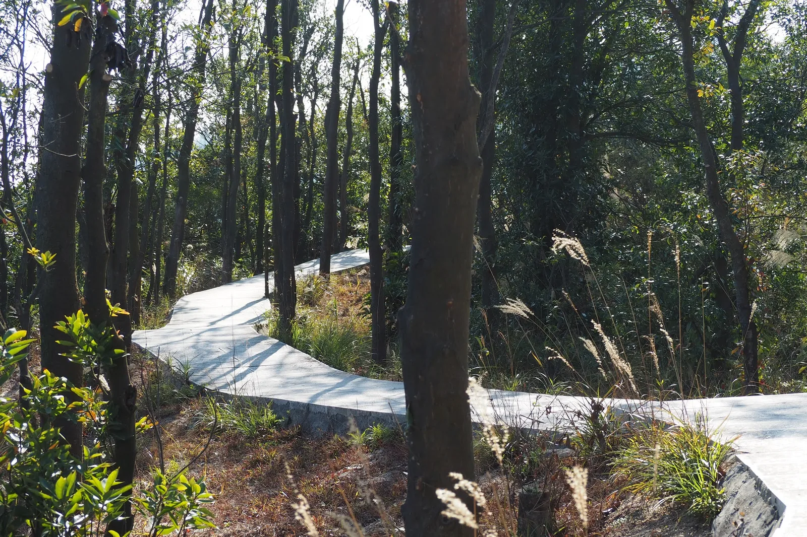 Main view at Banzhangshan Forest Park （South Gate） Zhuhai — travel photo