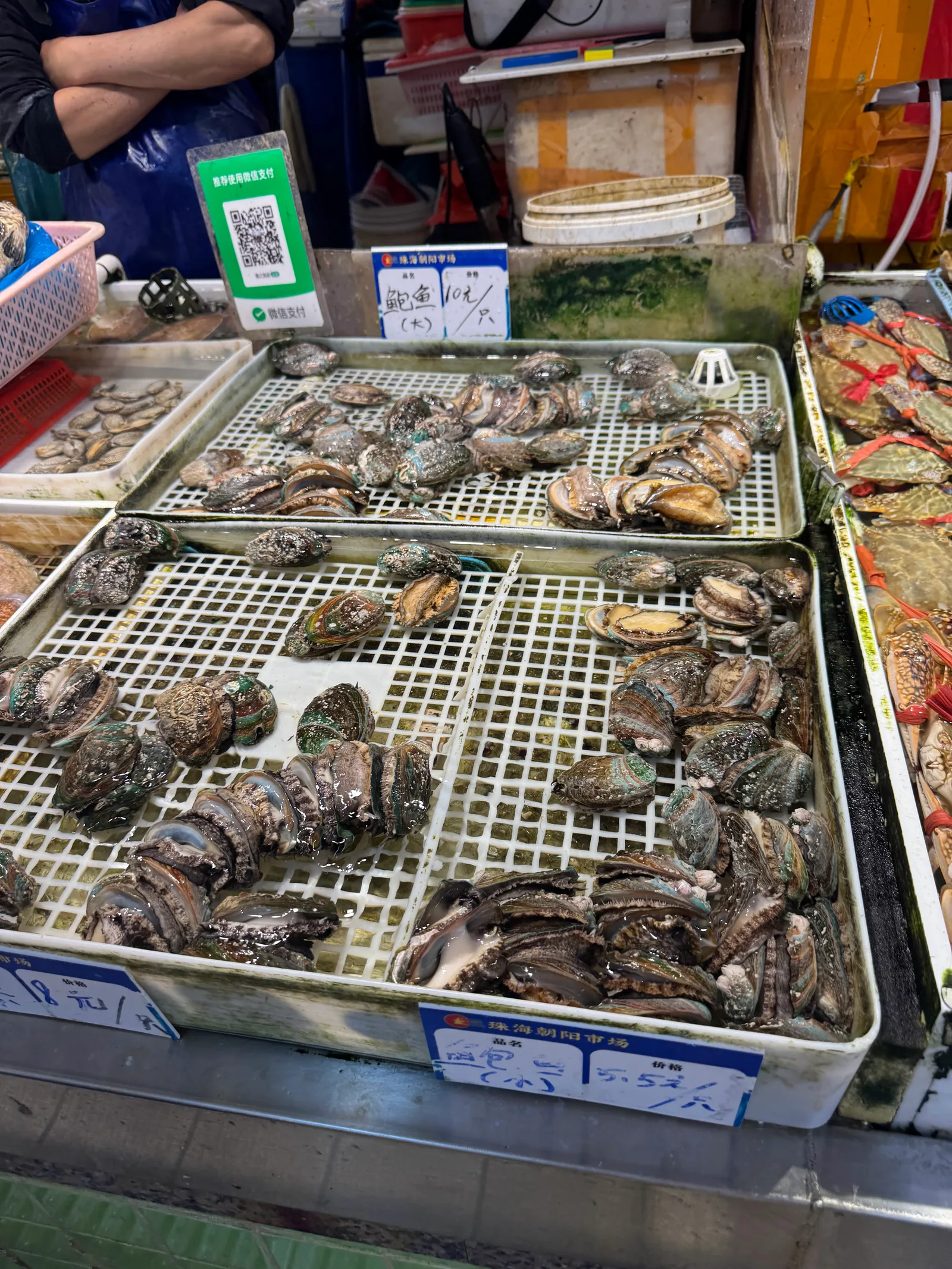 Main view at Chaoyang Market Zhuhai — travel photo