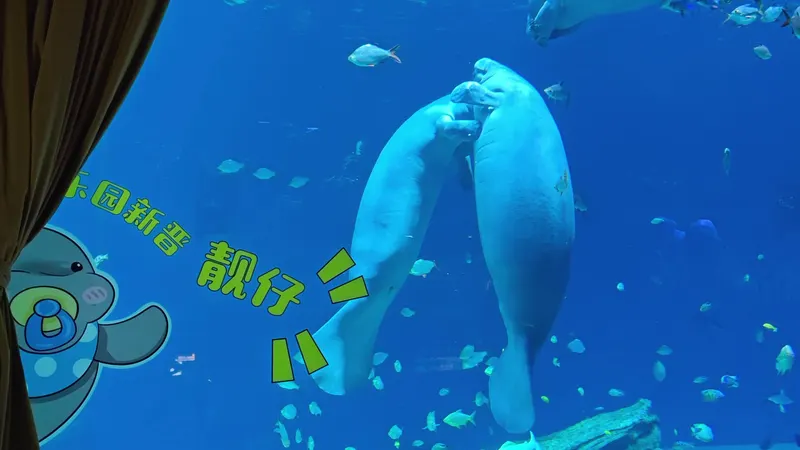Chimelong International Ocean Tourist Resort in Zhuhai