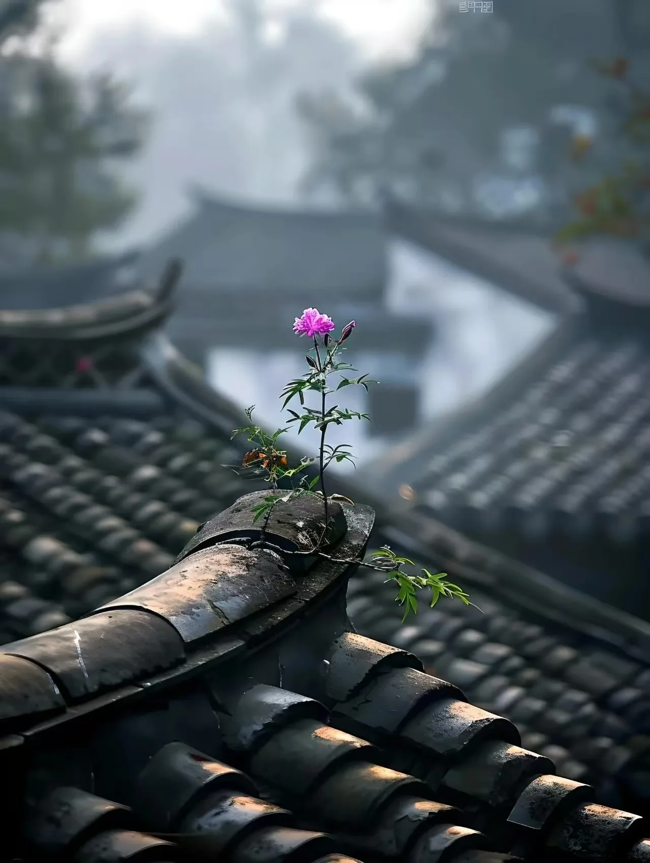 Details at 珠海北山 Zhuhai — travel photo
