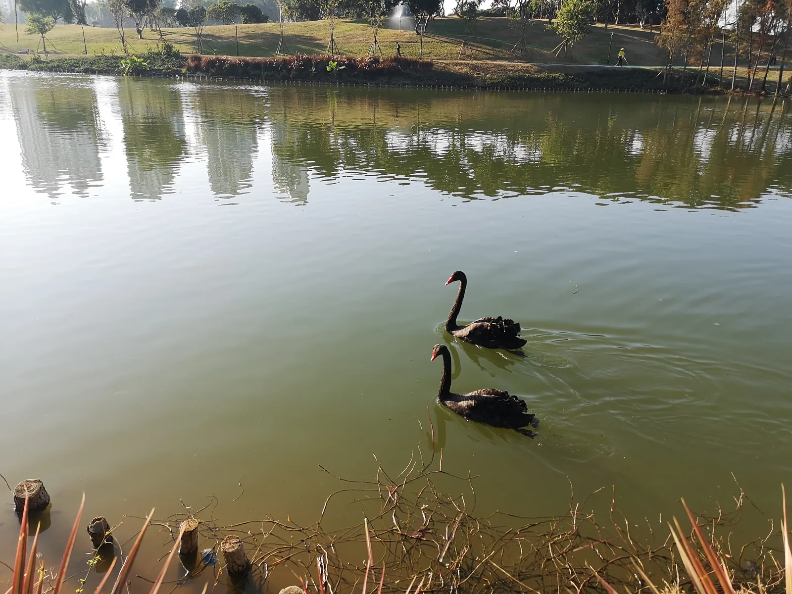 Atmosphere at Xiangshan Park （South Gate） Zhuhai — travel photo