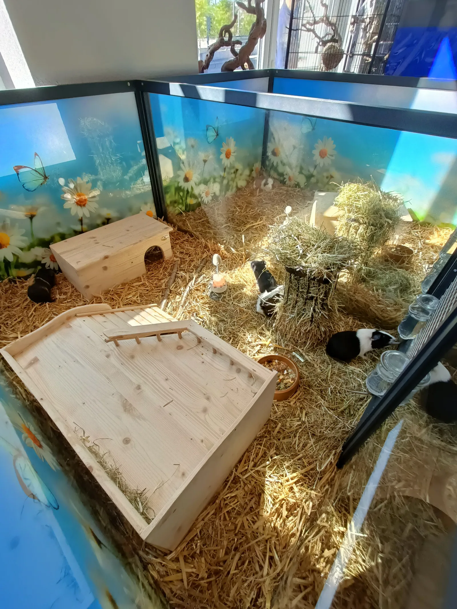 Details at AQUARIUM - SEEROSE Zurich — travel photo