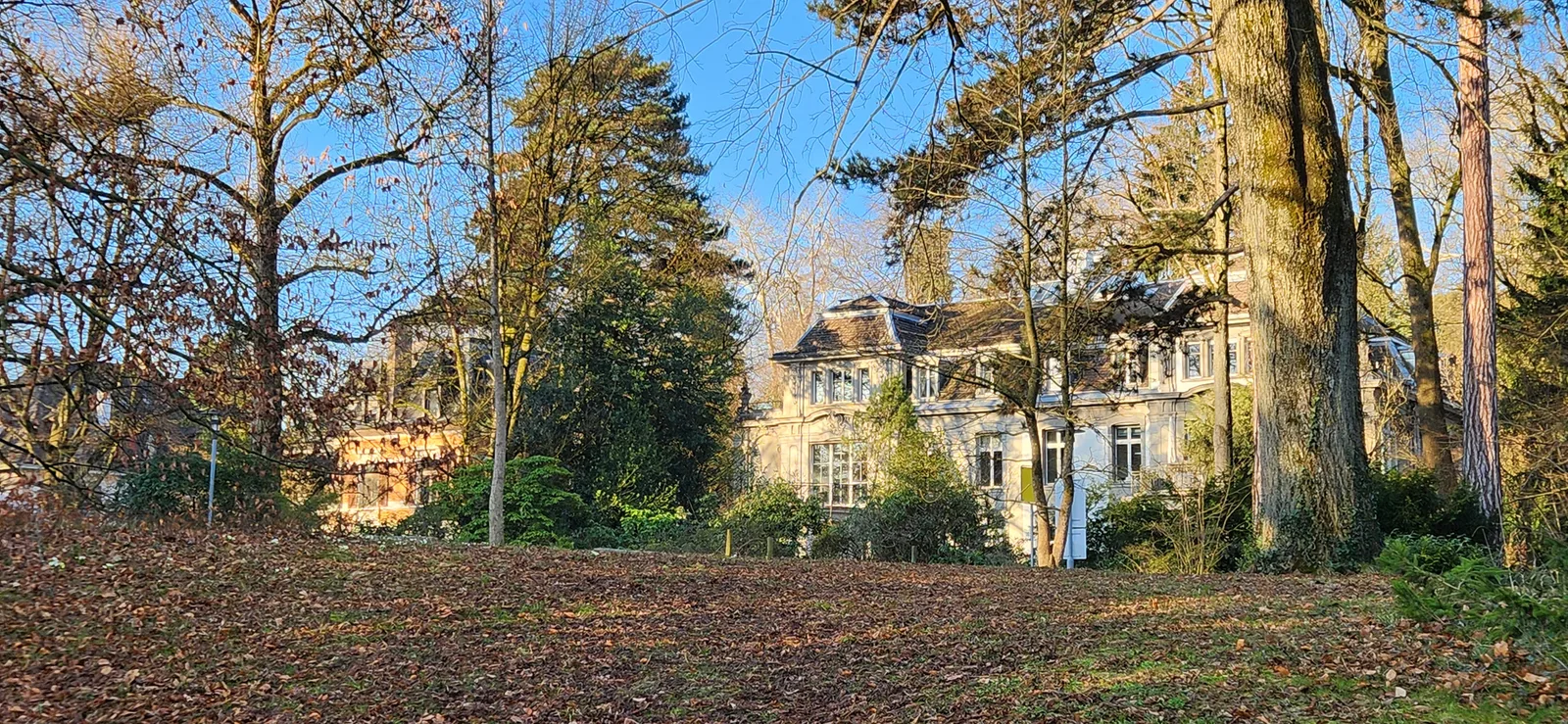 Atmosphere at Belvoirpark Zurich — travel photo