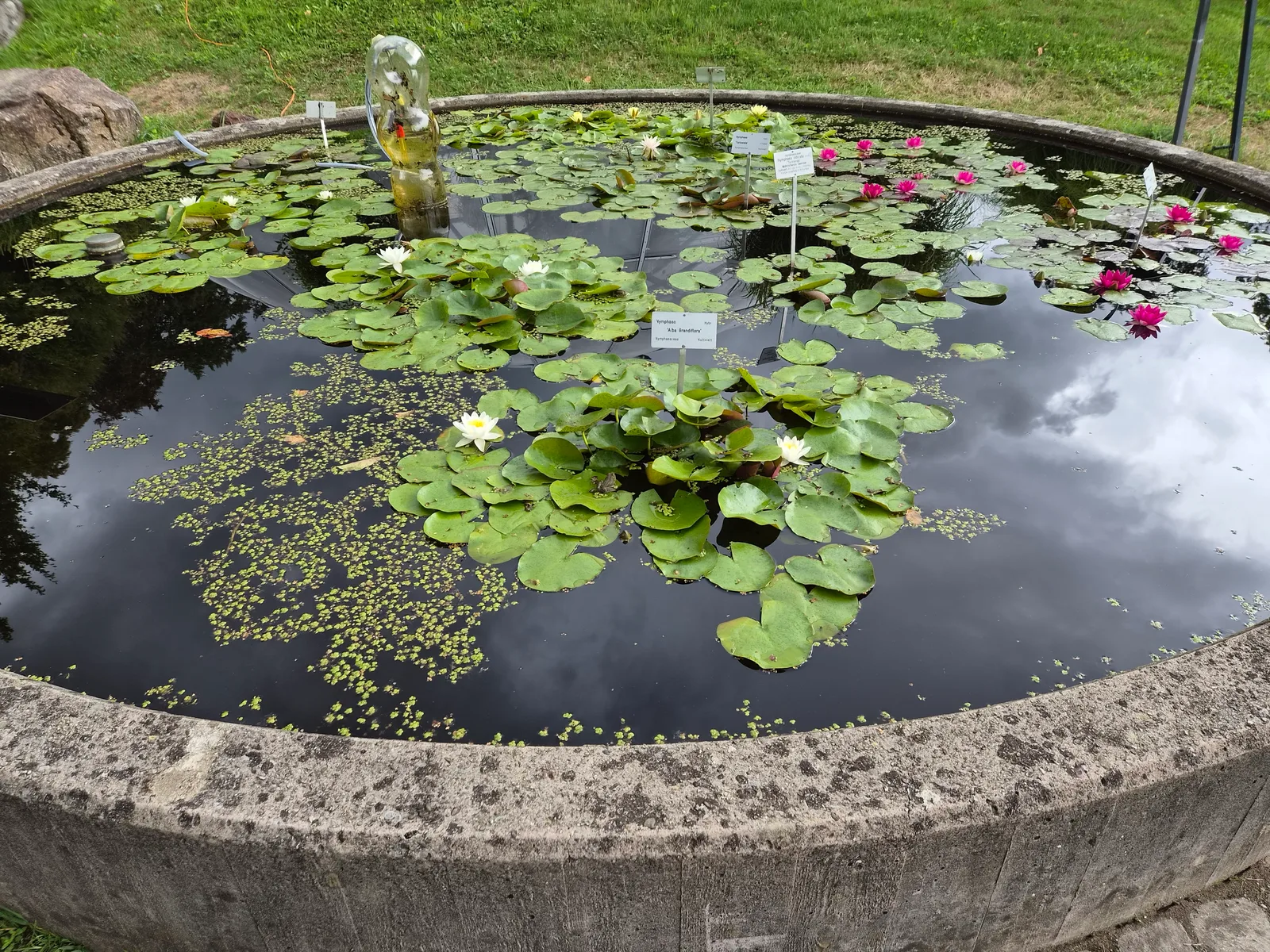 Main view at Botanical Garden Zurich — travel photo
