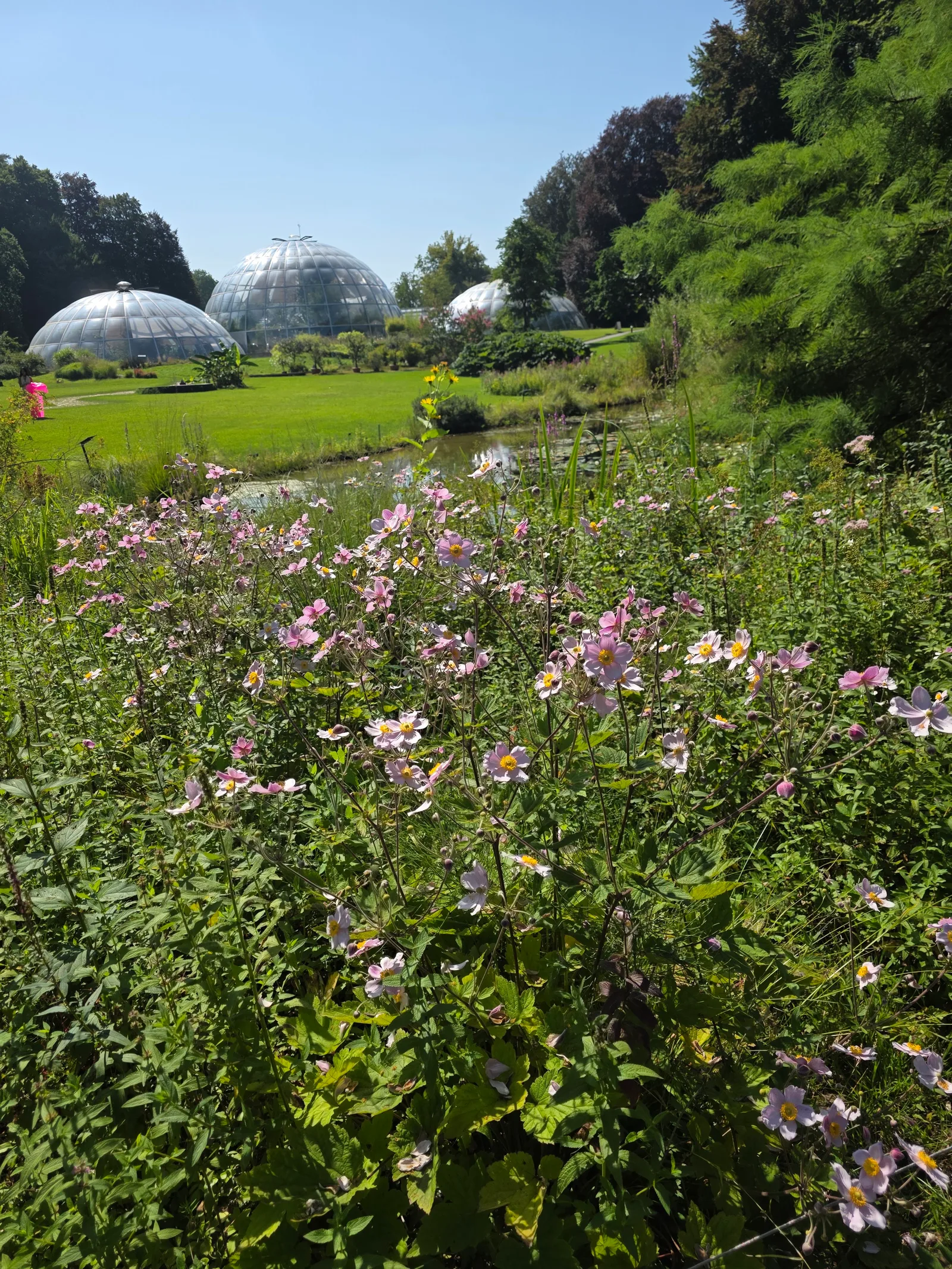 Interior at Botanical Garden Zurich — travel photo
