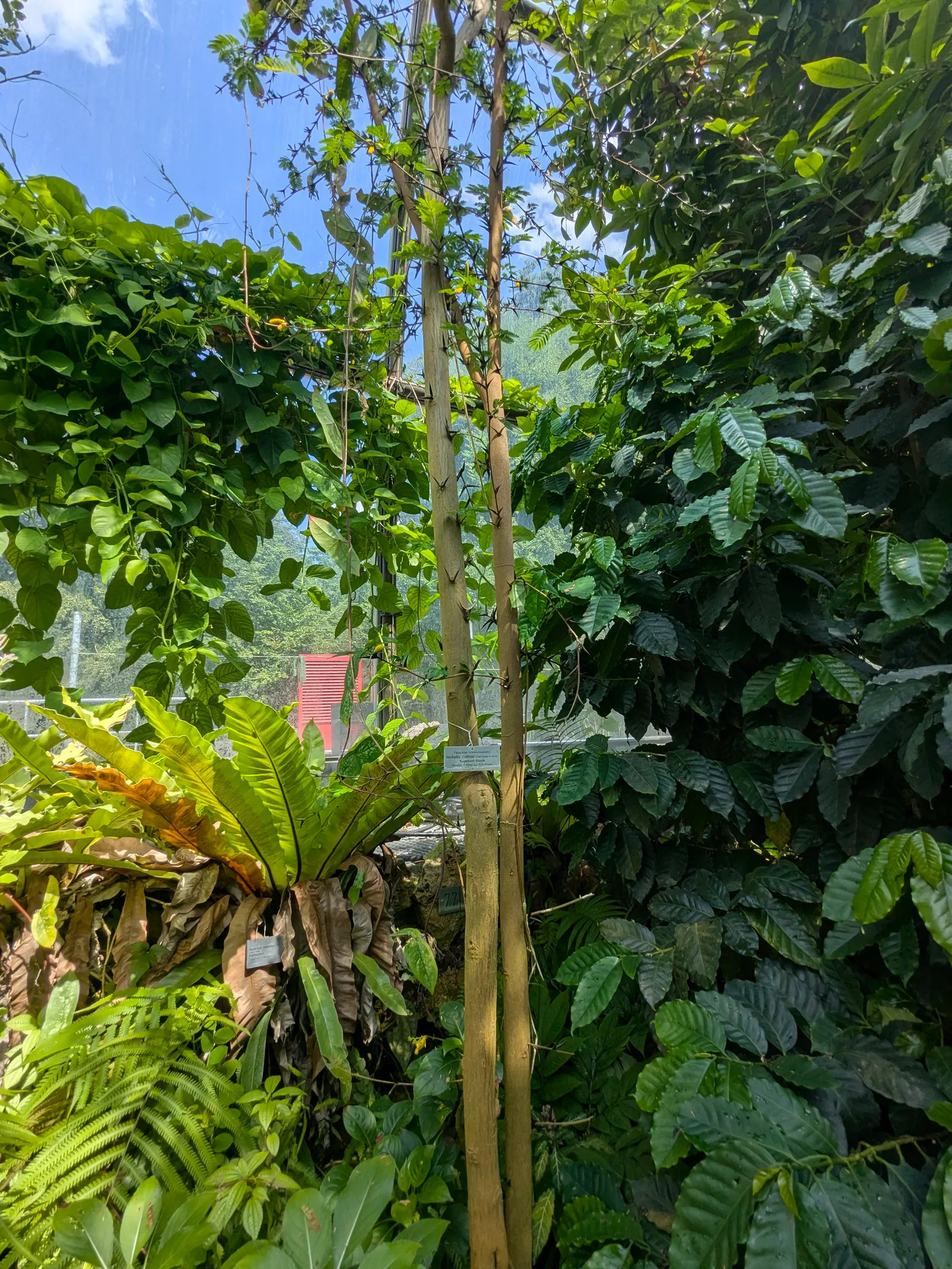 Atmosphere at Botanical Garden Zurich — travel photo