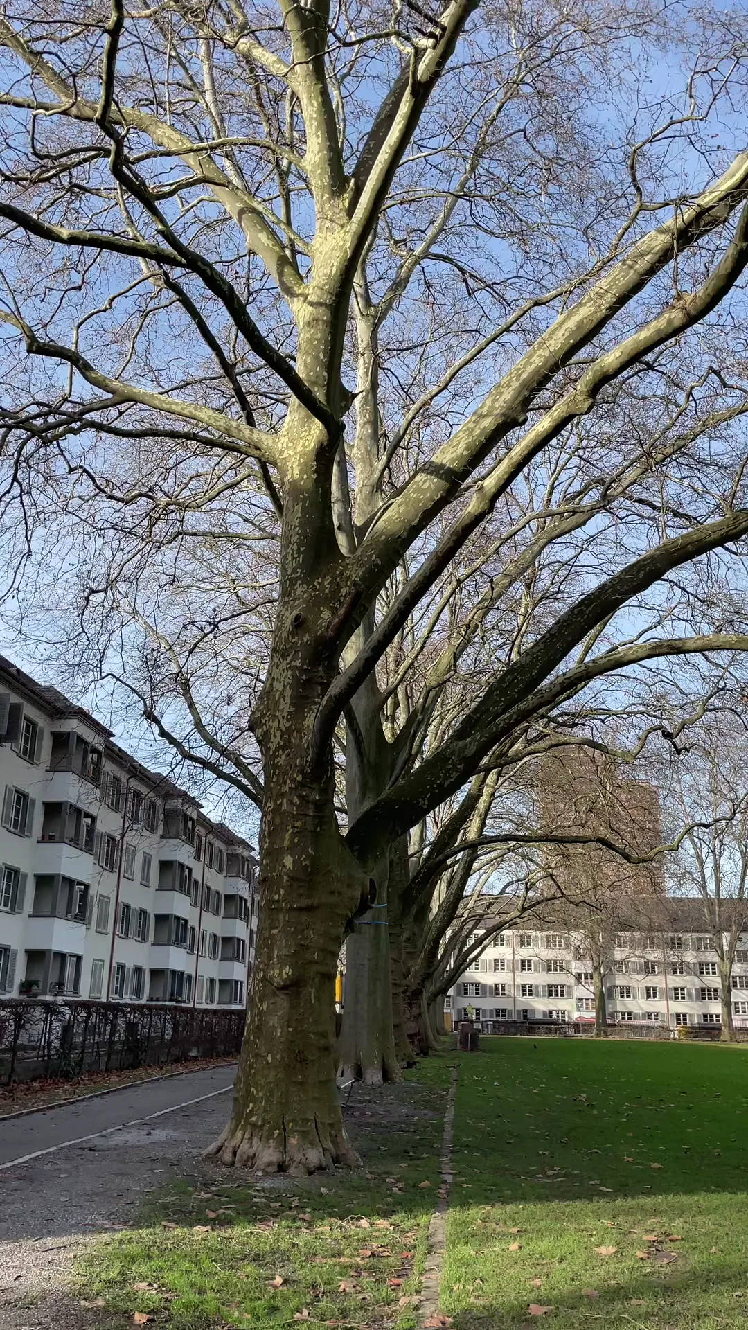 Main view at Bullingerhof Zurich — travel photo