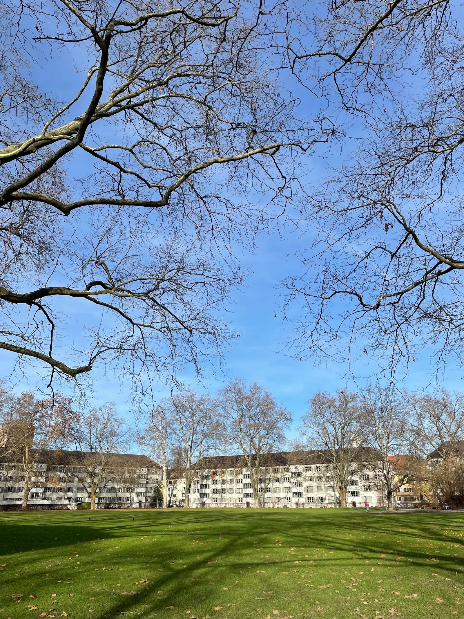 Atmosphere at Bullingerhof Zurich — travel photo