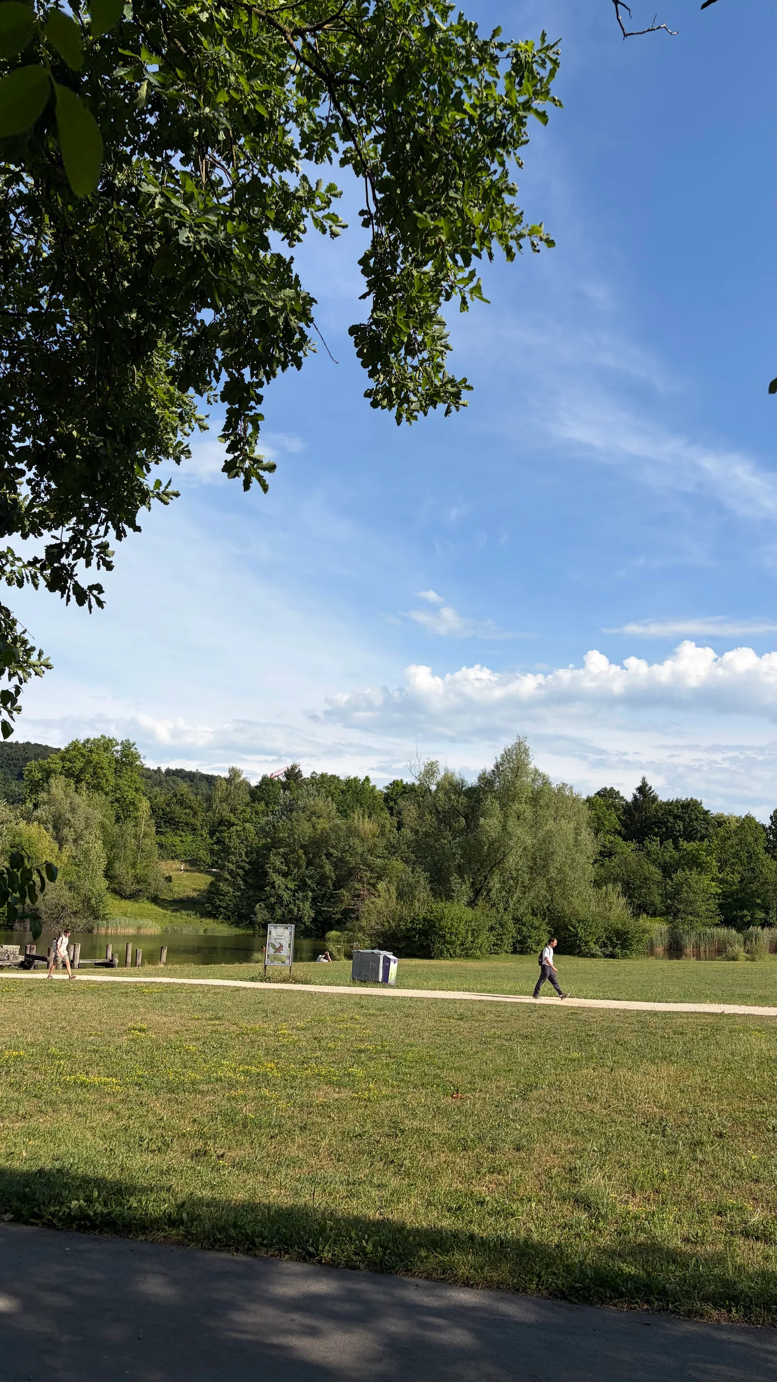 Interior at Irchelpark Zurich — travel photo