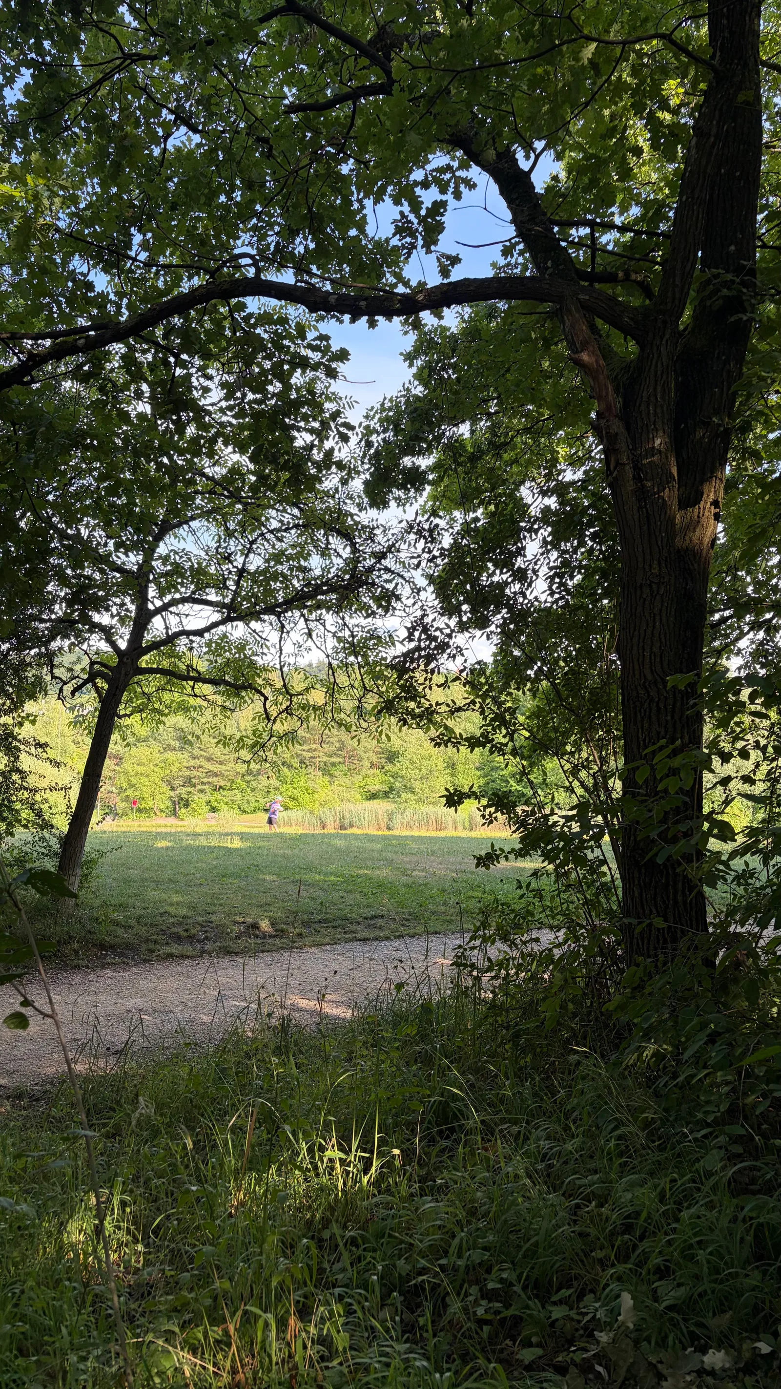 Details at Irchelpark Zurich — travel photo