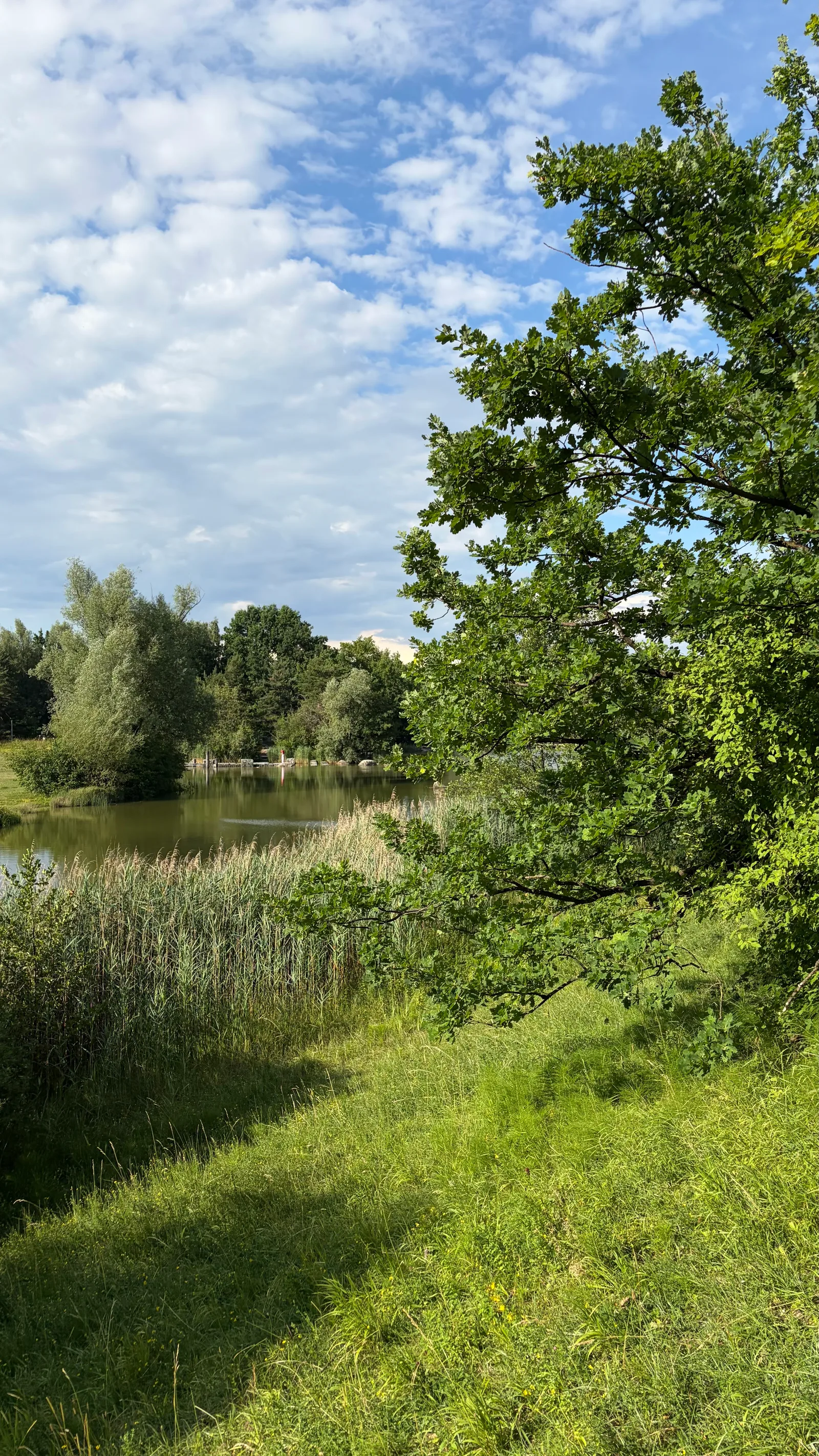 Atmosphere at Irchelpark Zurich — travel photo