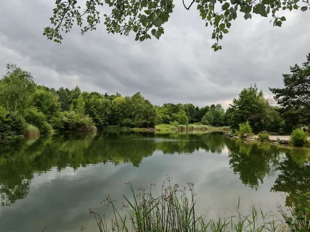 Irchelpark