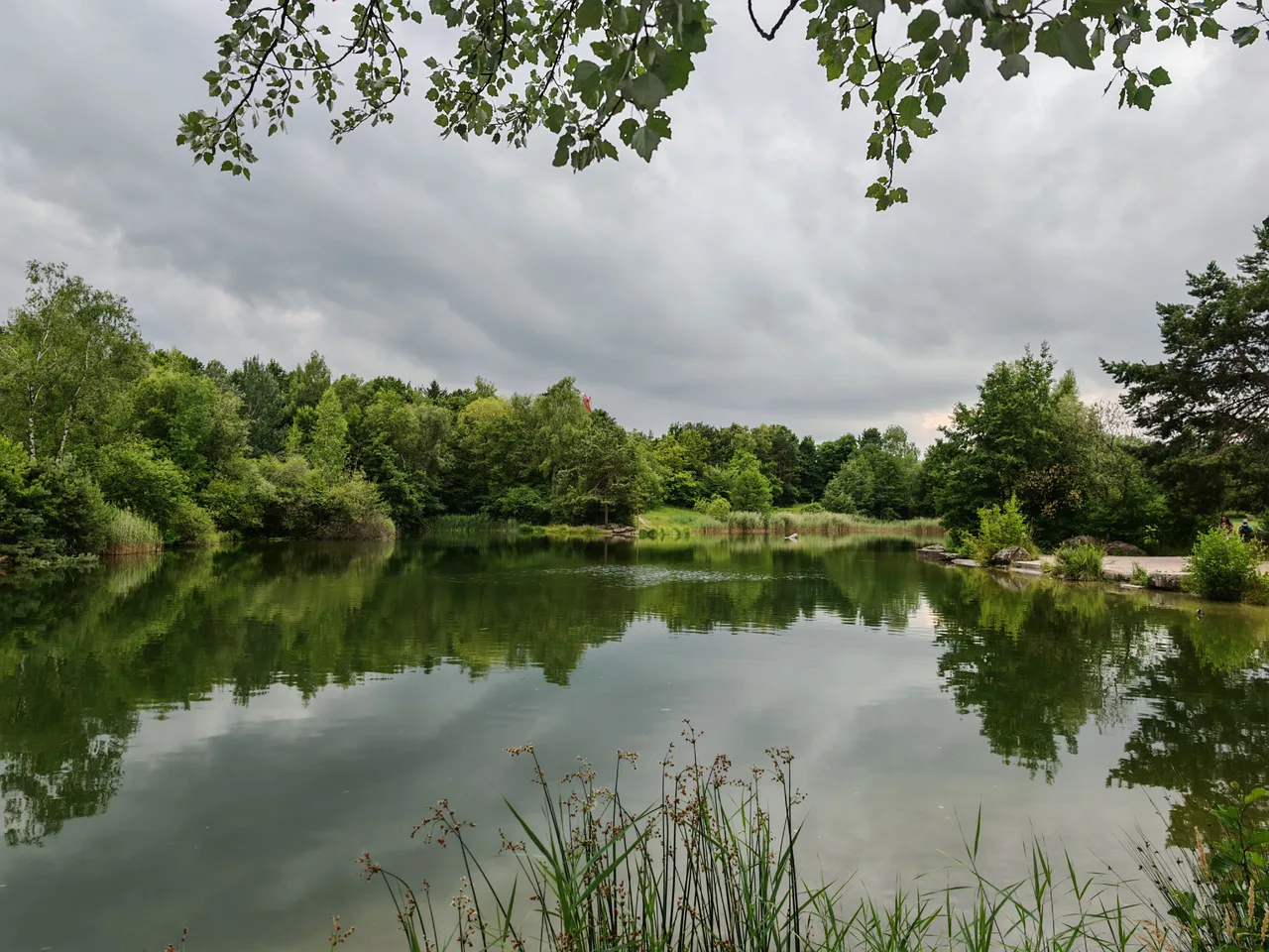 Irchelpark — budget guide Zurich