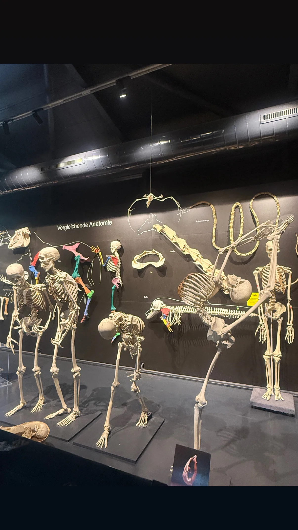 Main view at KULTURAMA Museum des Menschen Zurich — travel photo