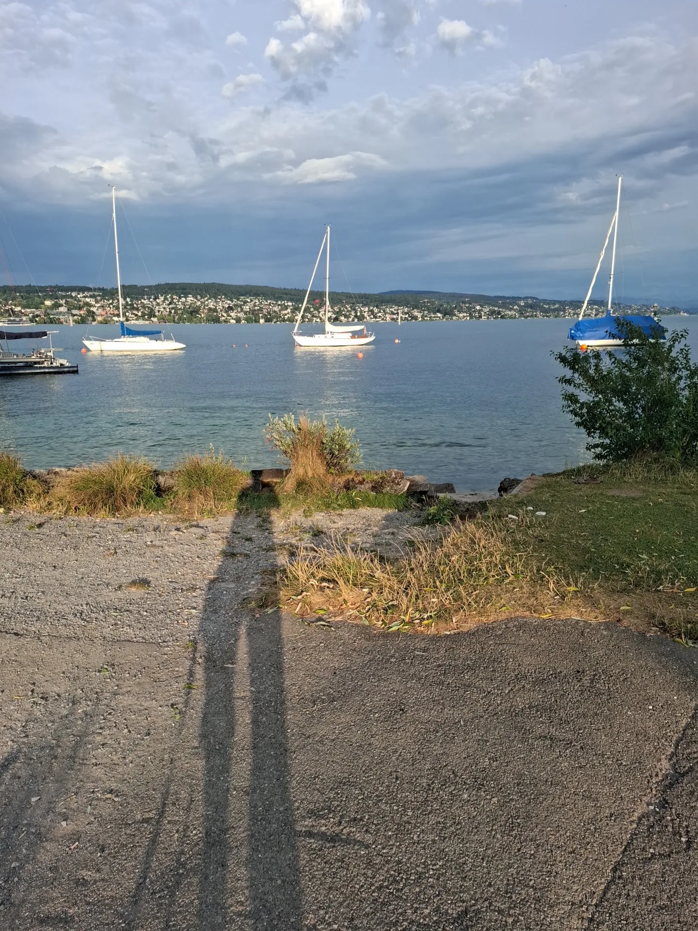 Main view at Landiwiese Zurich — travel photo