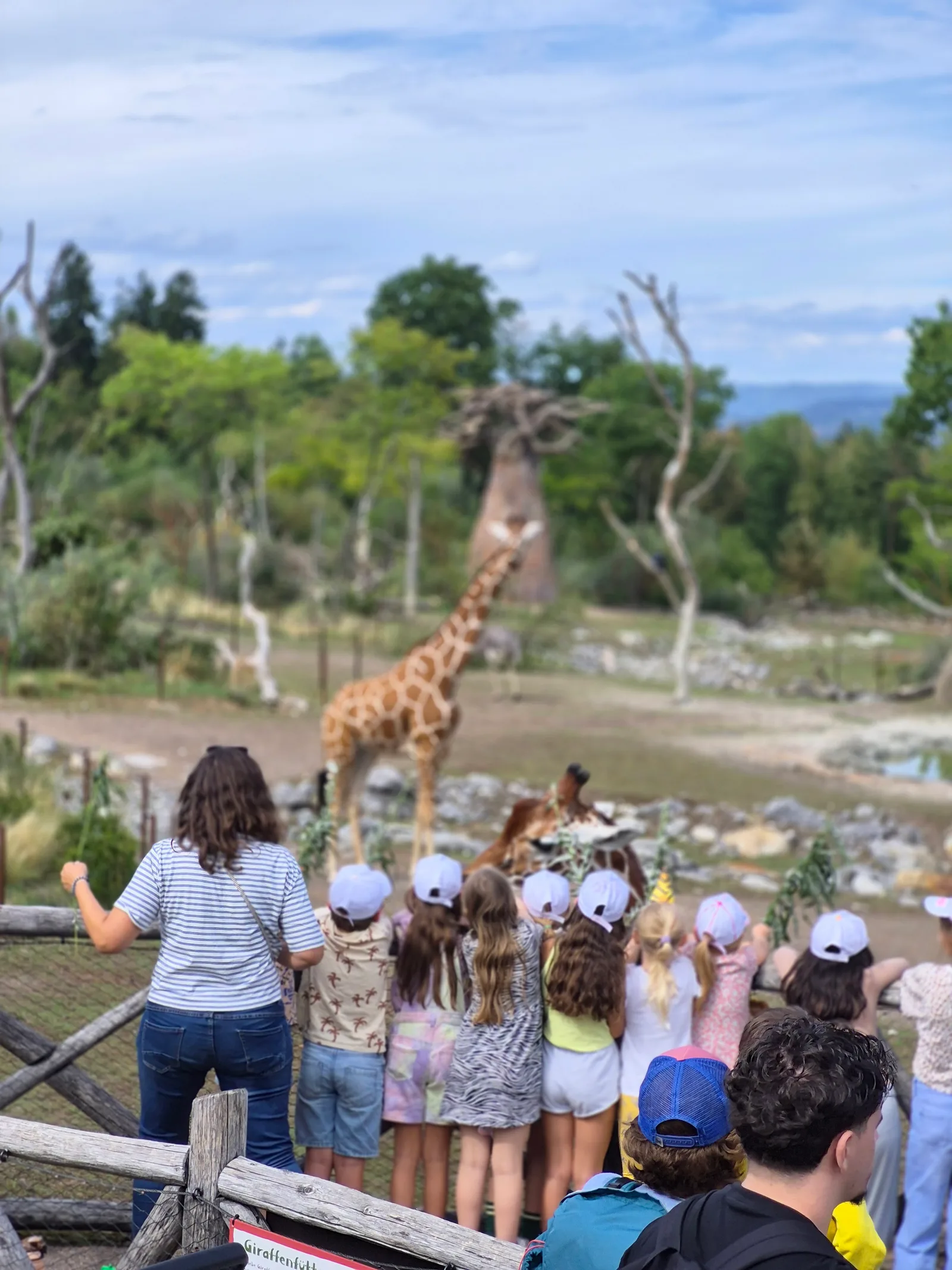 Main view at Lewa Savanne Zurich — travel photo