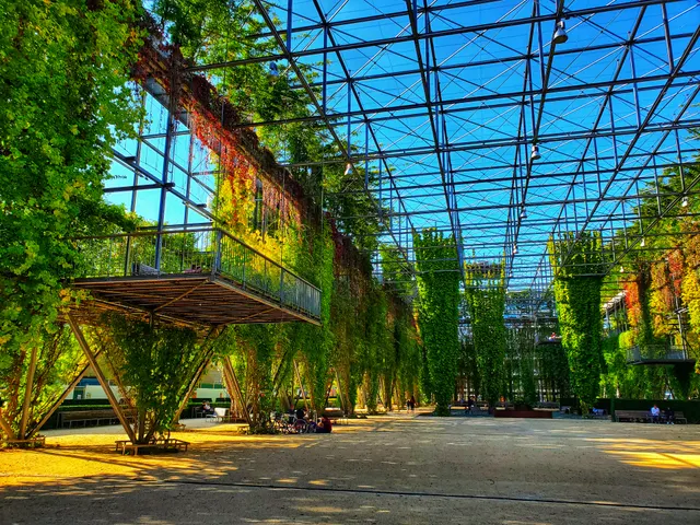 MFO-Park
