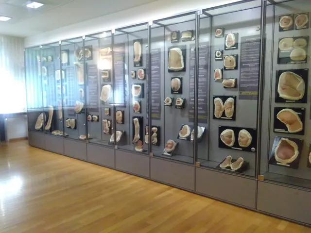 Moulagen museum — Museum in Zurich