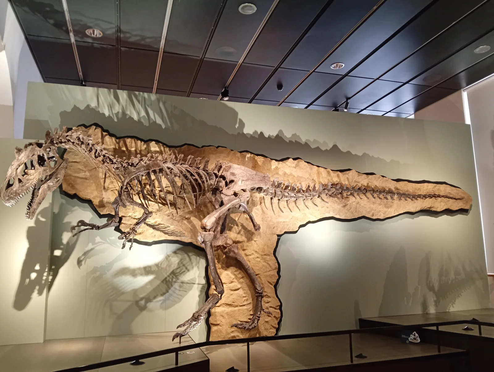 Main view at Natural History Museum of the University of Zurich Zurich — travel photo