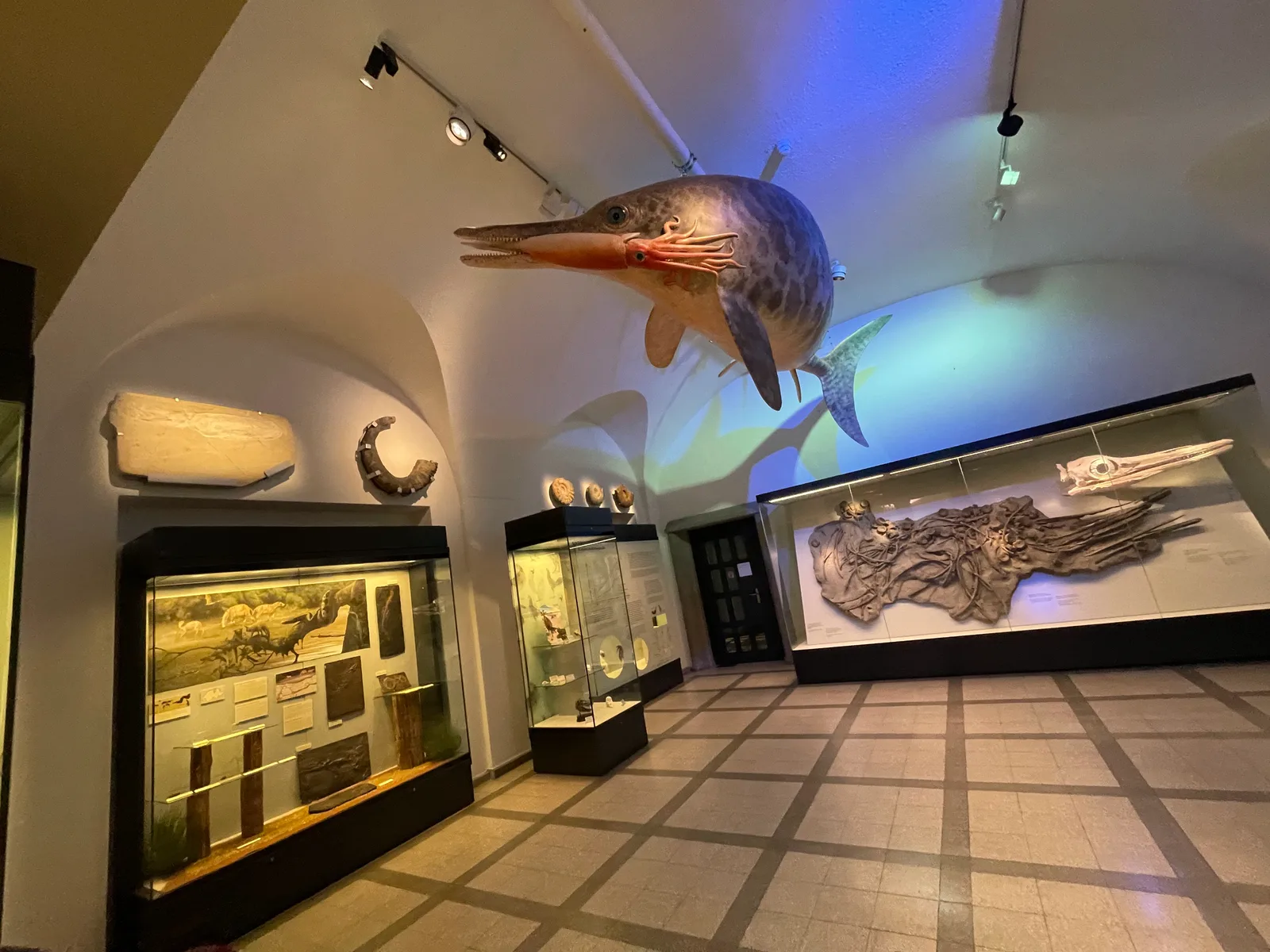 Atmosphere at Natural History Museum of the University of Zurich Zurich — travel photo