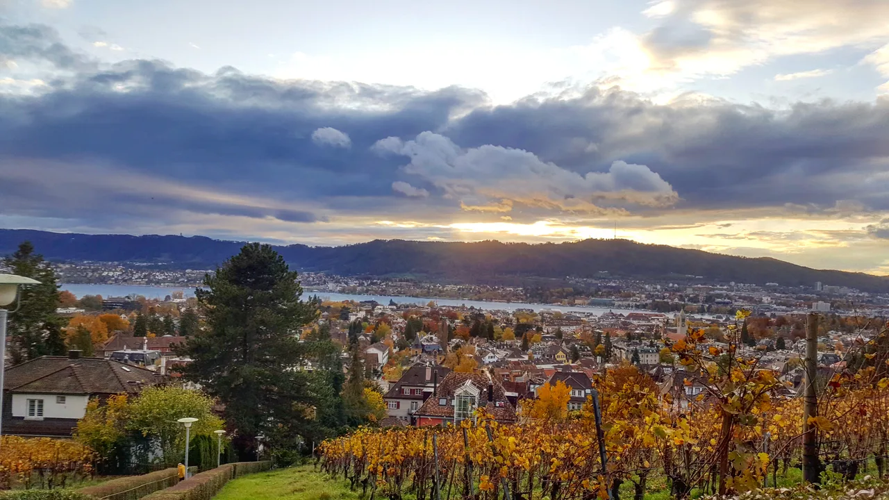 Park Sonnenberg