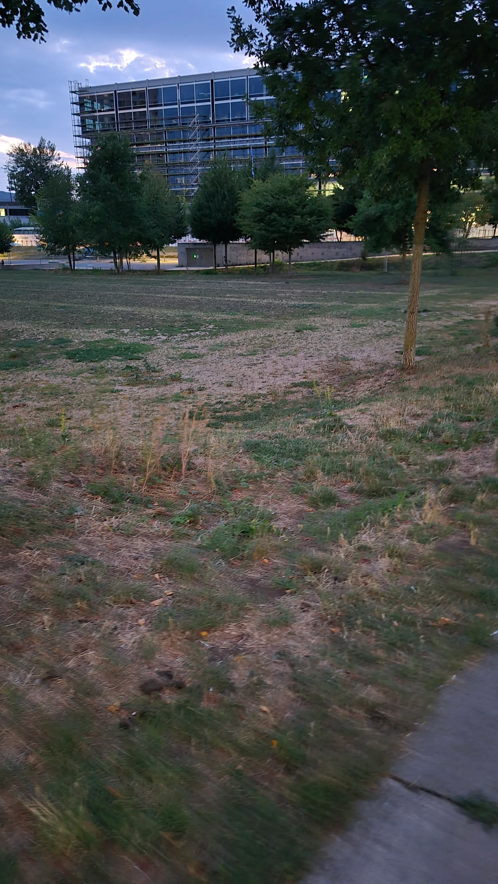 Main view at Pfingstweid Park Zurich — travel photo