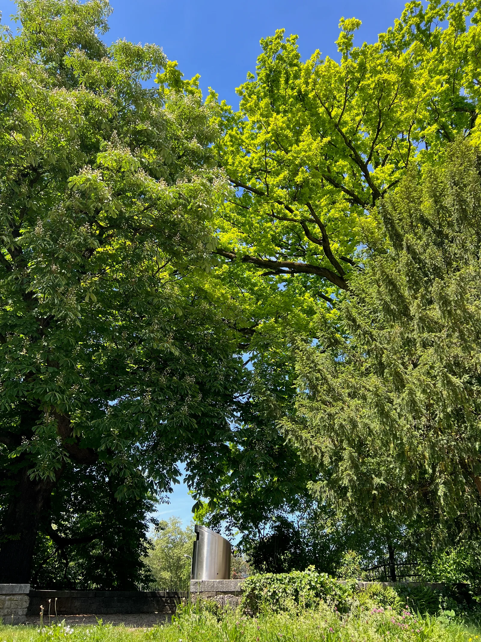Main view at Platzspitz Zurich — travel photo
