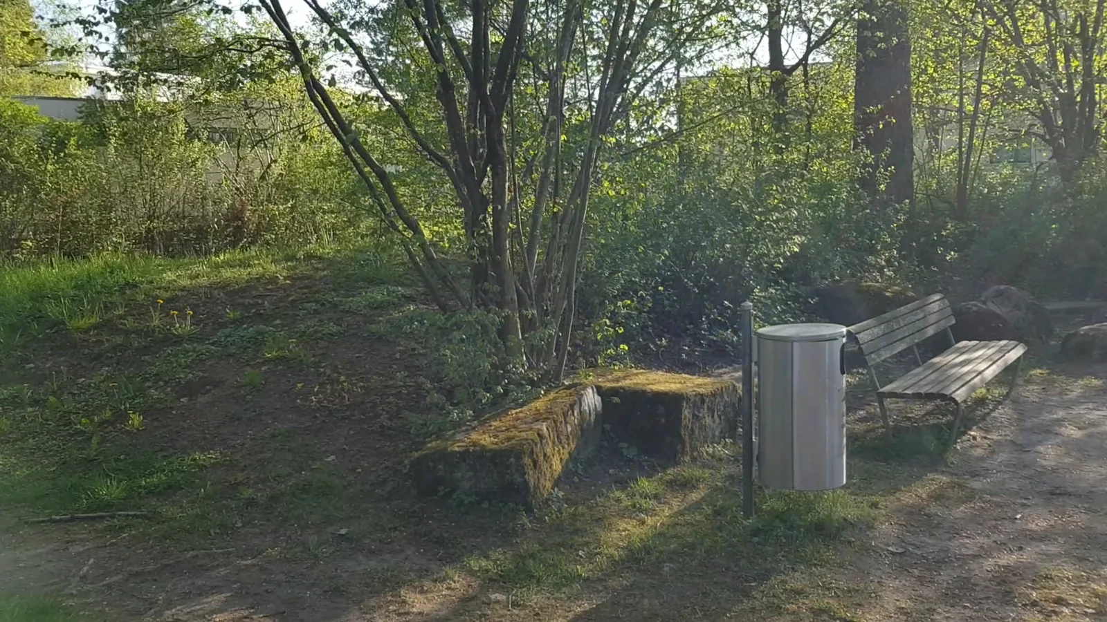 Main view at Robinsonspielplatz Witikon Zurich — travel photo