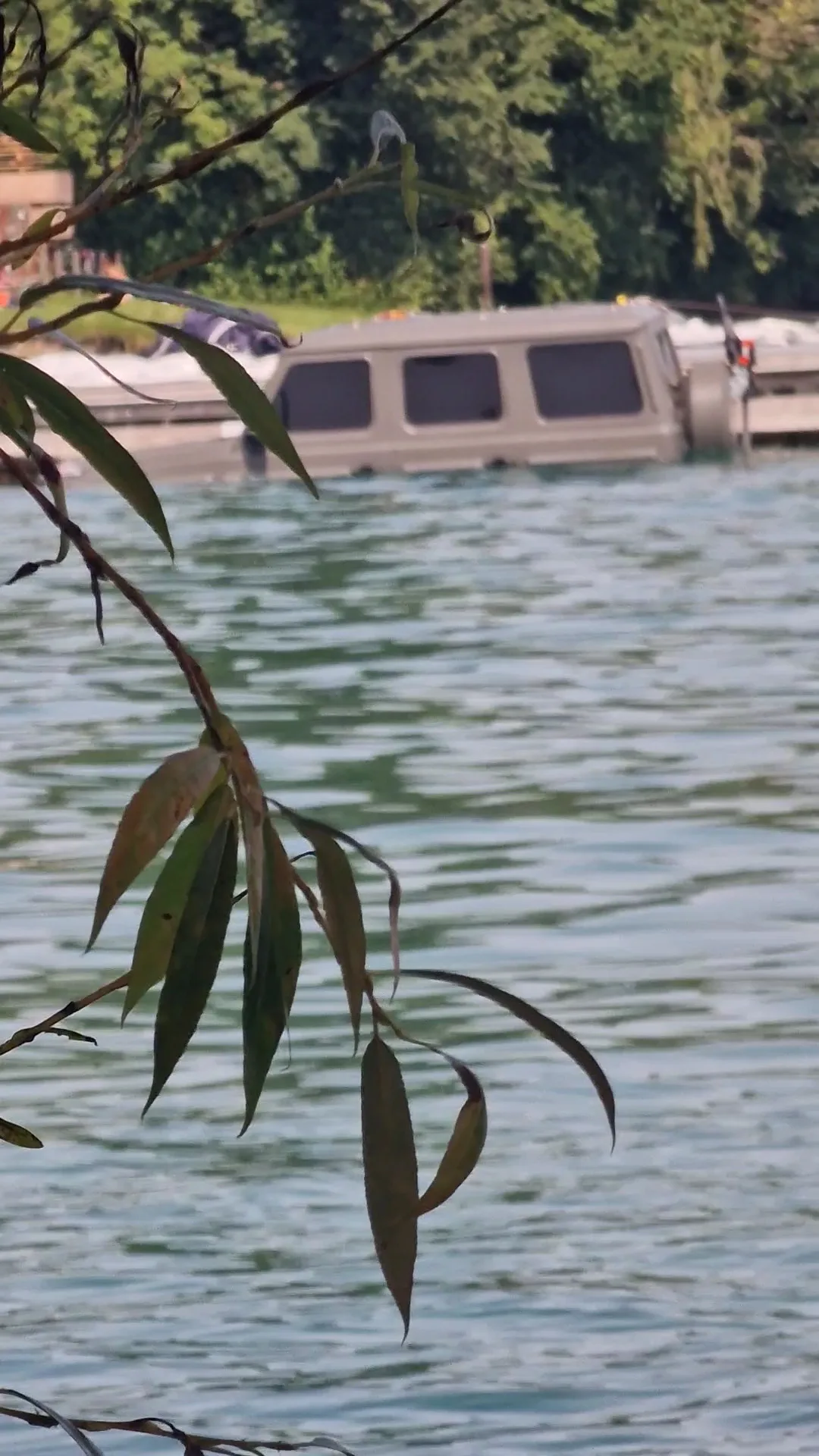 Details at Saffa-Insel Zurich — travel photo
