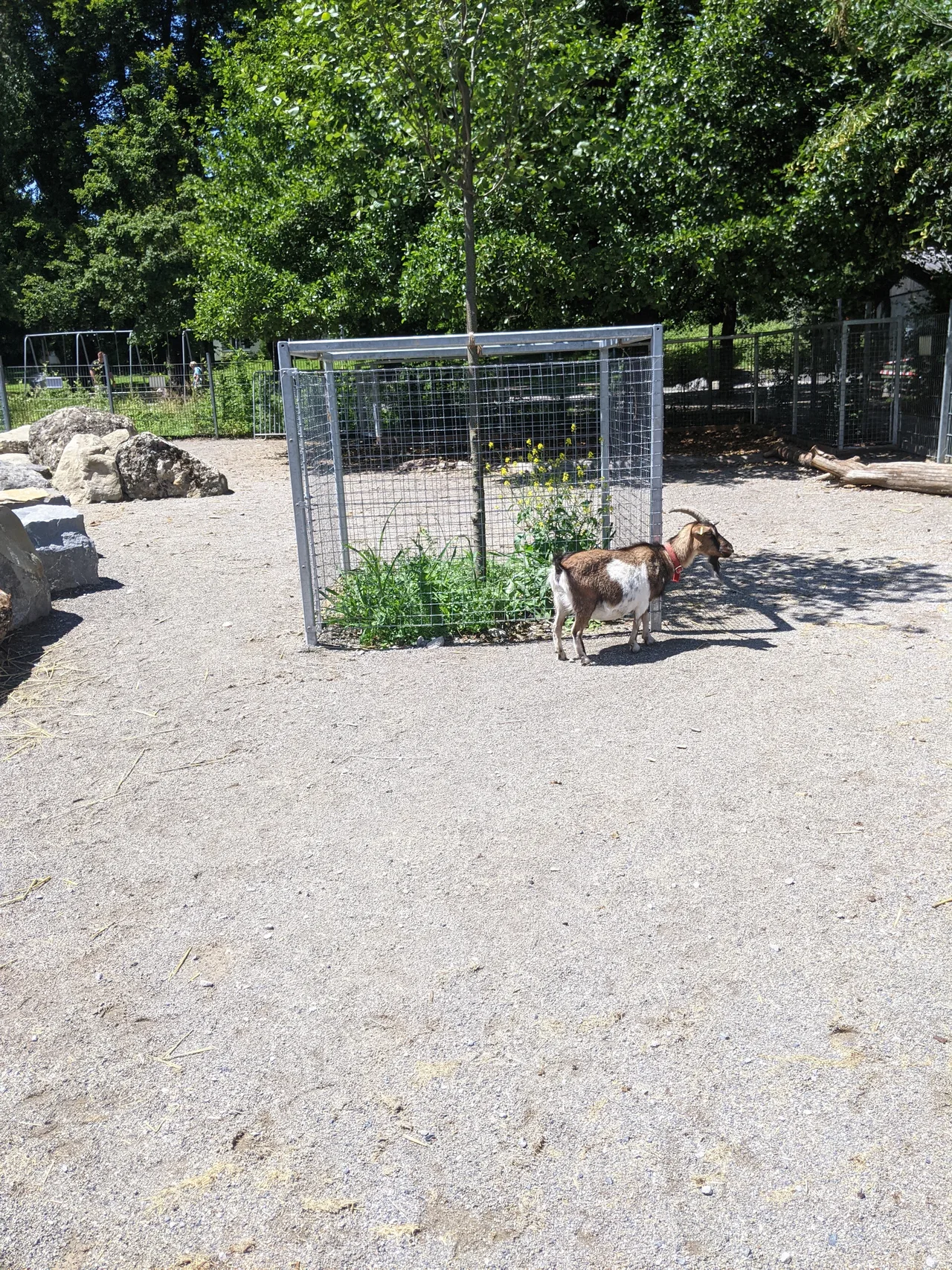 Spielplatz Bachwiesen