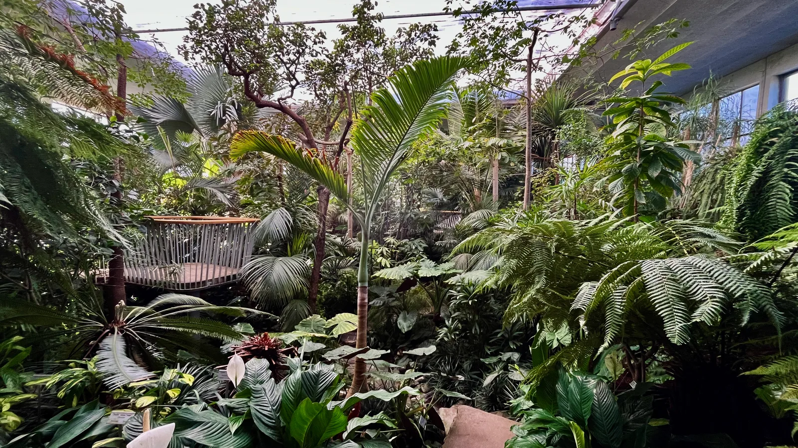 Main view at Stadtgärtnerei Zurich — travel photo