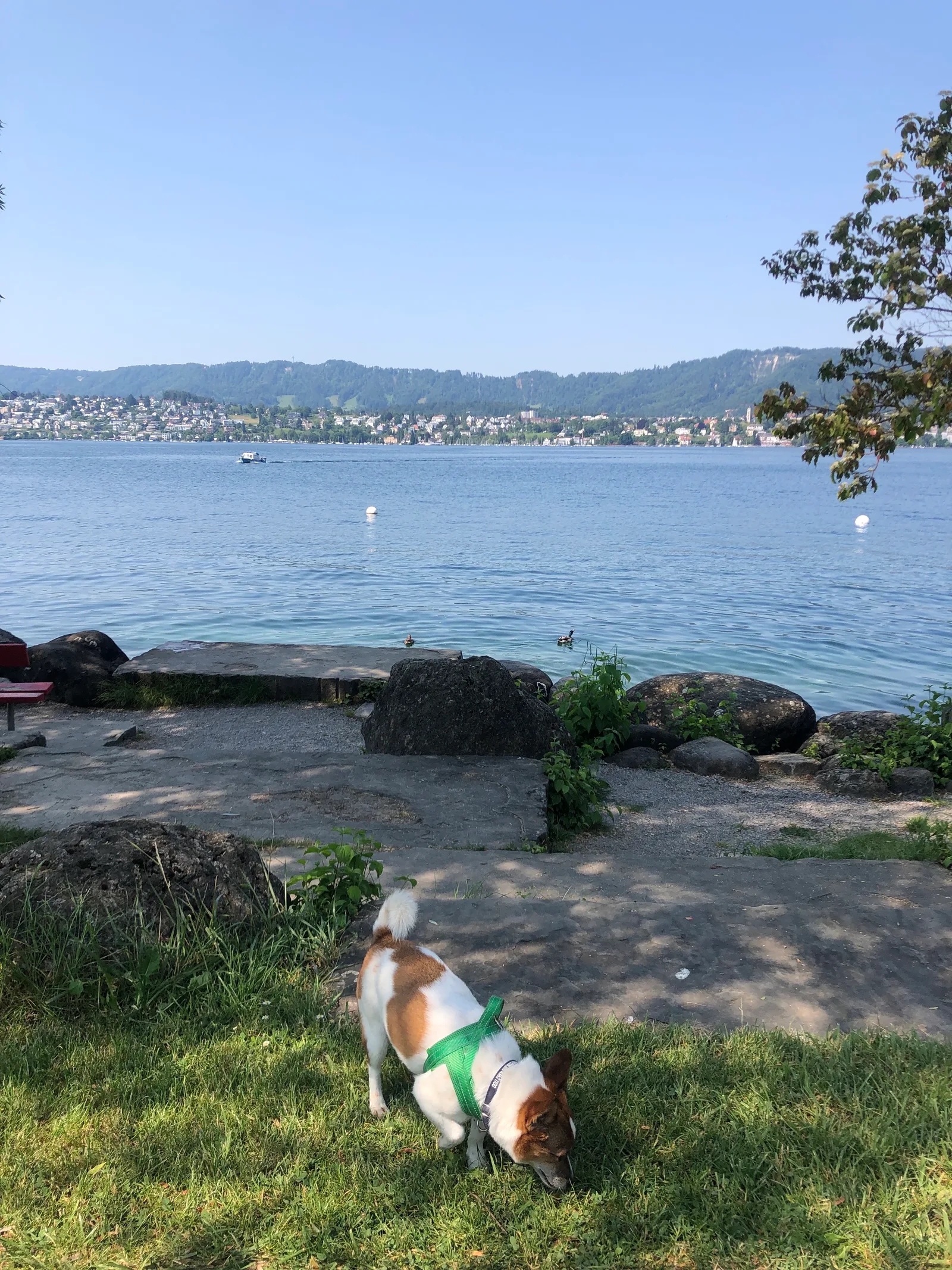 Interior at Tiefenbrunnen Park Zurich — travel photo