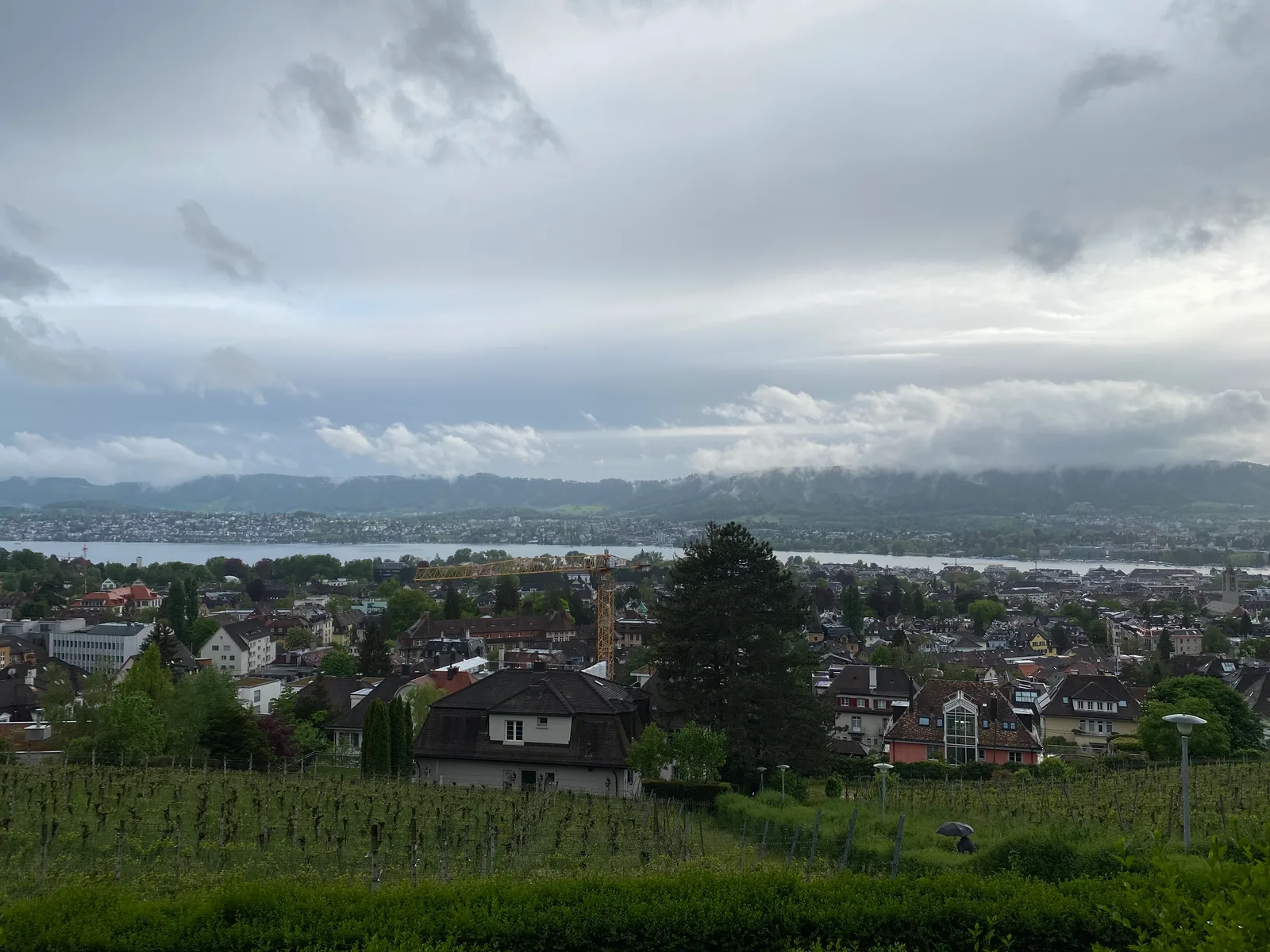 Main view at Viewpoint Zurich — travel photo