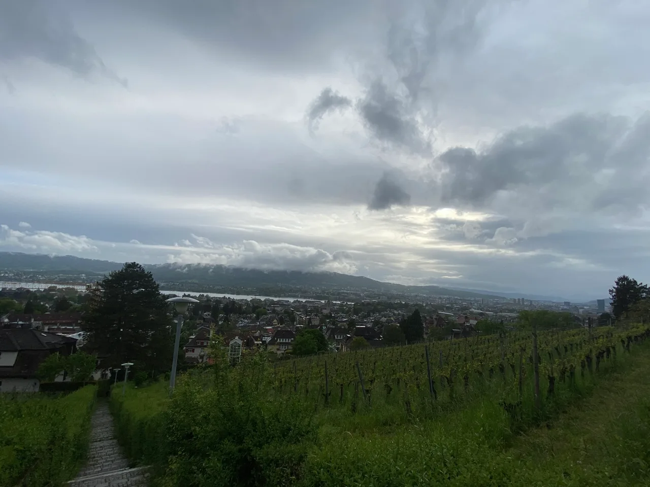Viewpoint