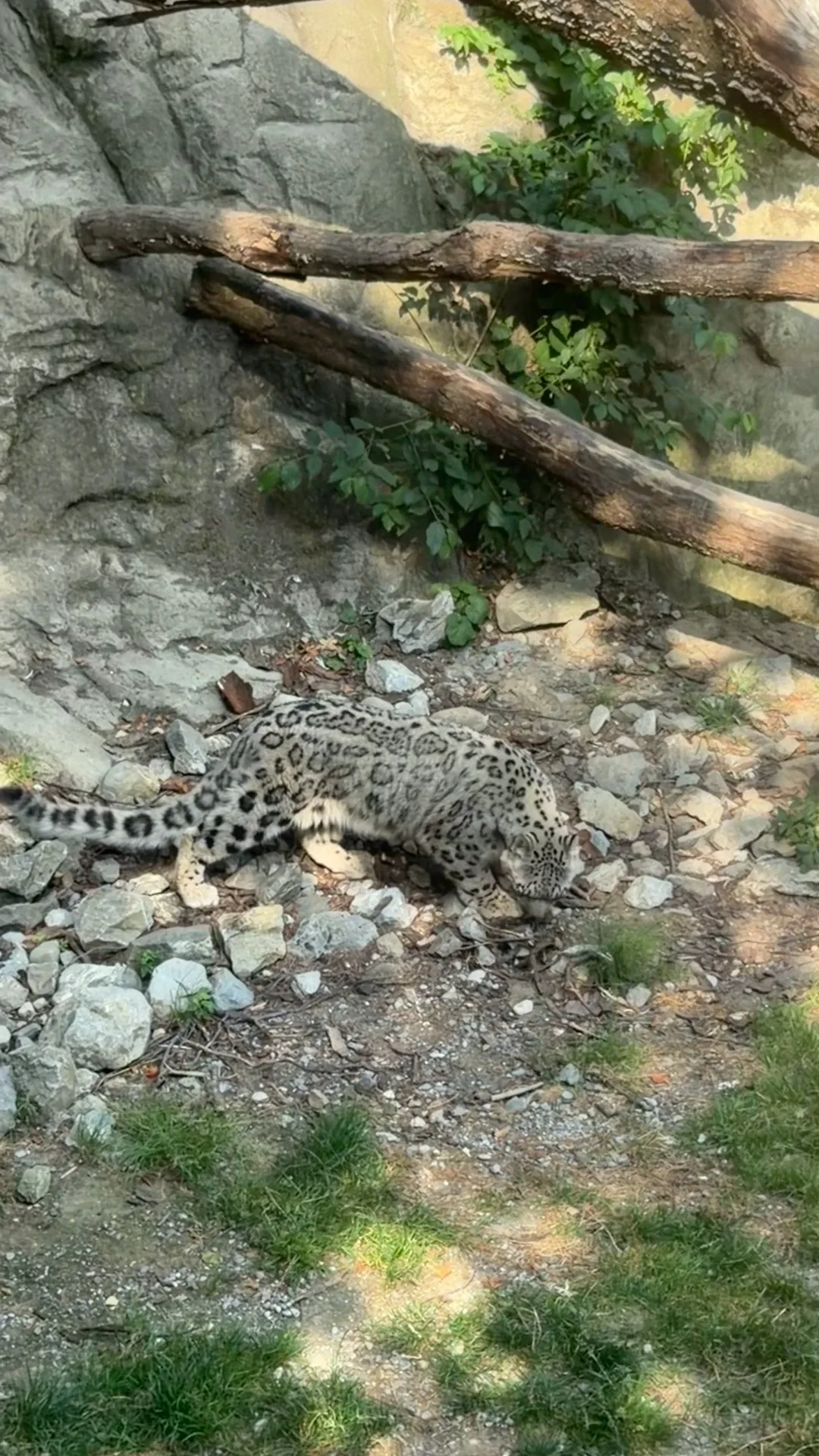 Main view at Zoo Zürich Zurich — travel photo