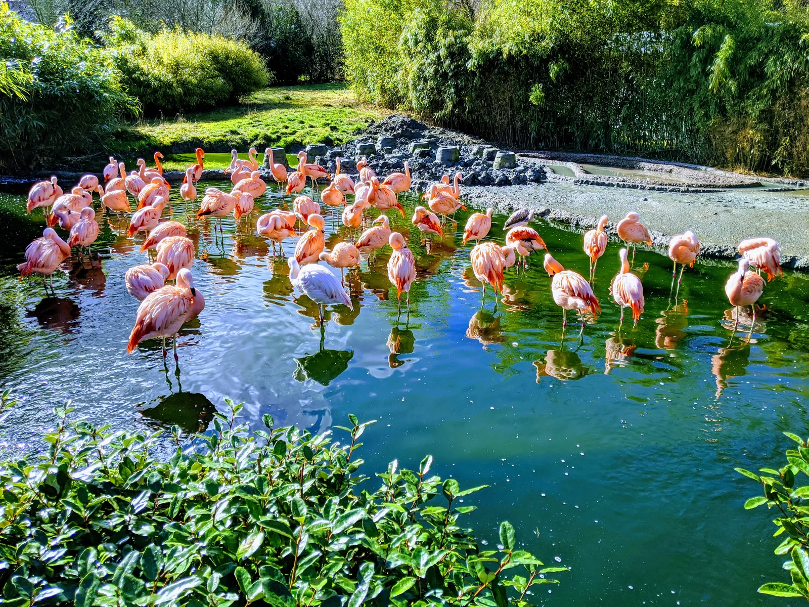 Interior at Zoo Zürich Zurich — travel photo