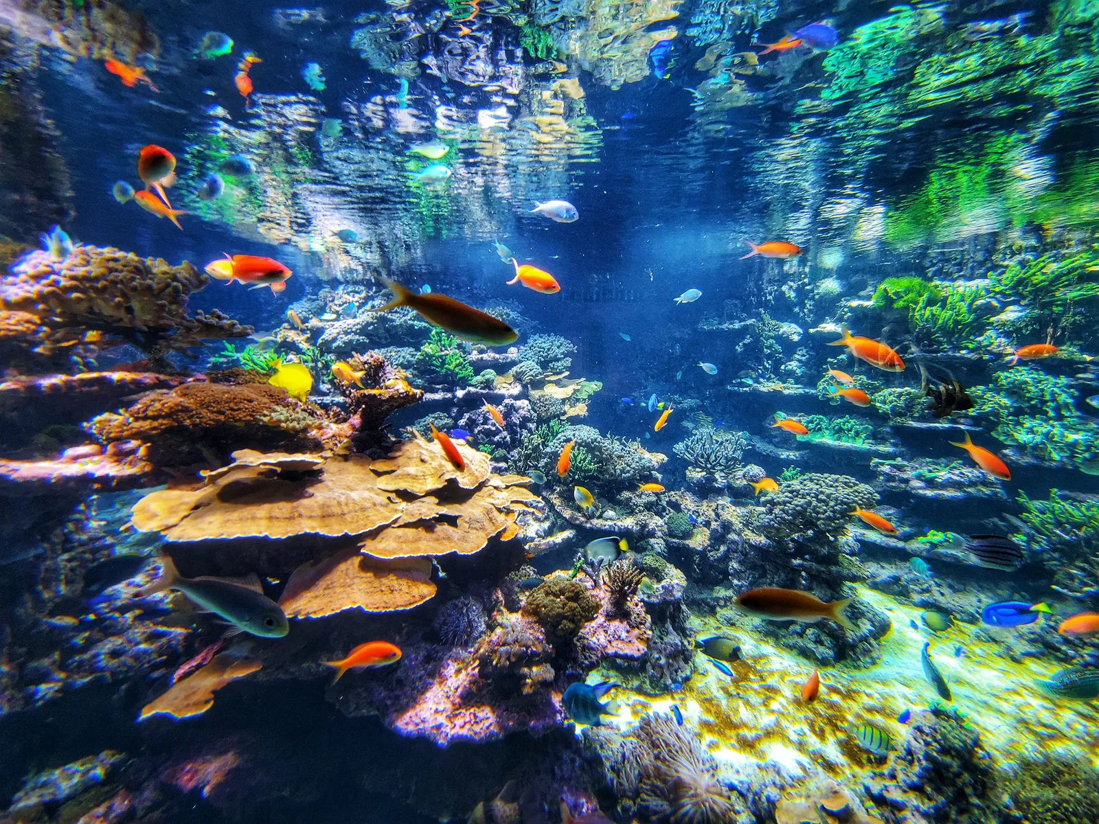 Atmosphere at Zoo Zürich Zurich — travel photo