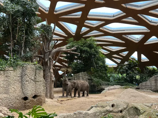 Zoo Zürich in Zurich