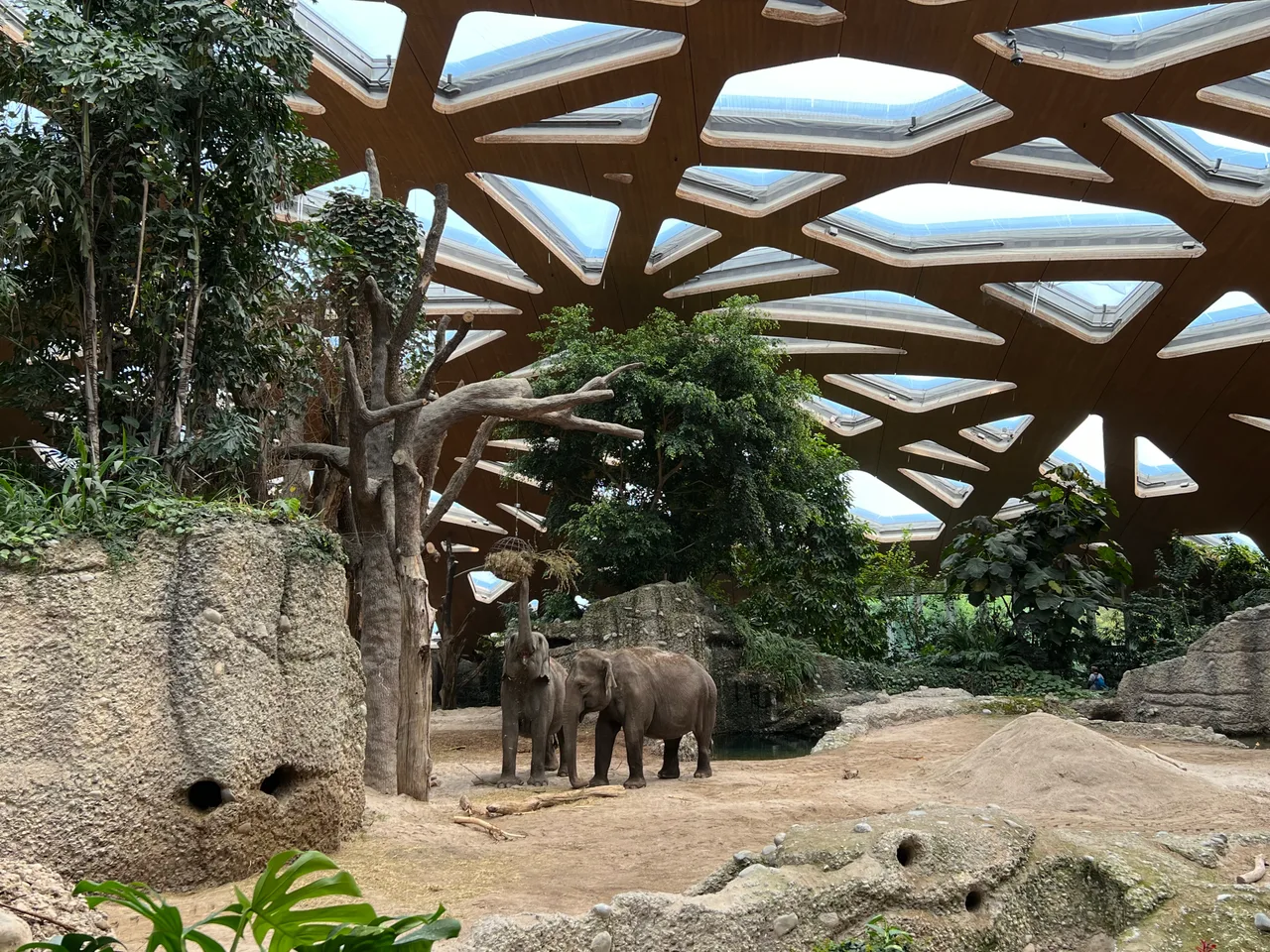 Zoo Zürich